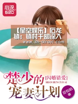 【星空娱乐】石龙镇：镇村干部深入开展上半年产业补贴核查工作