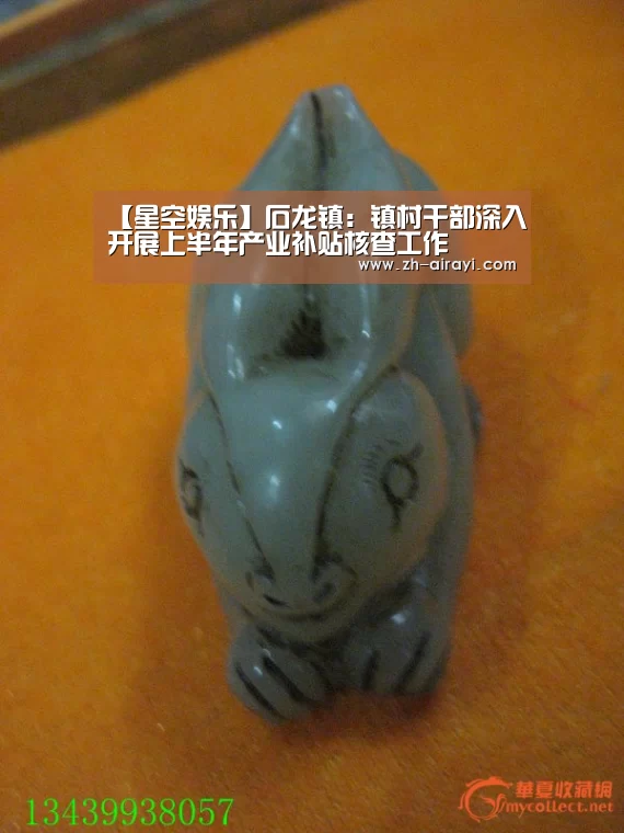 【星空娱乐】石龙镇:镇村干部深入开展上半年产业补贴核查工作(图3) 星空娱乐
