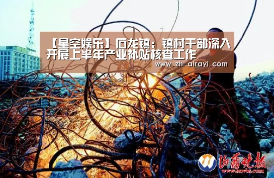 【星空娱乐】石龙镇:镇村干部深入开展上半年产业补贴核查工作(图4) 星空娱乐