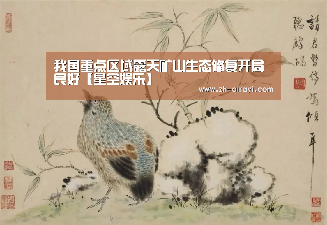 星空娱乐